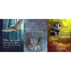 TRI-INSPIRAZION GREETING CARD Owl Wisdom